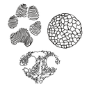 Paw and Nose Print Engravings