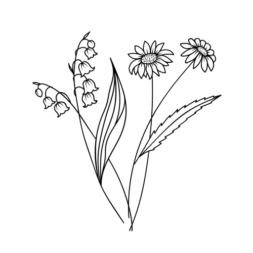 2 Geburtsblumen (Strauß)