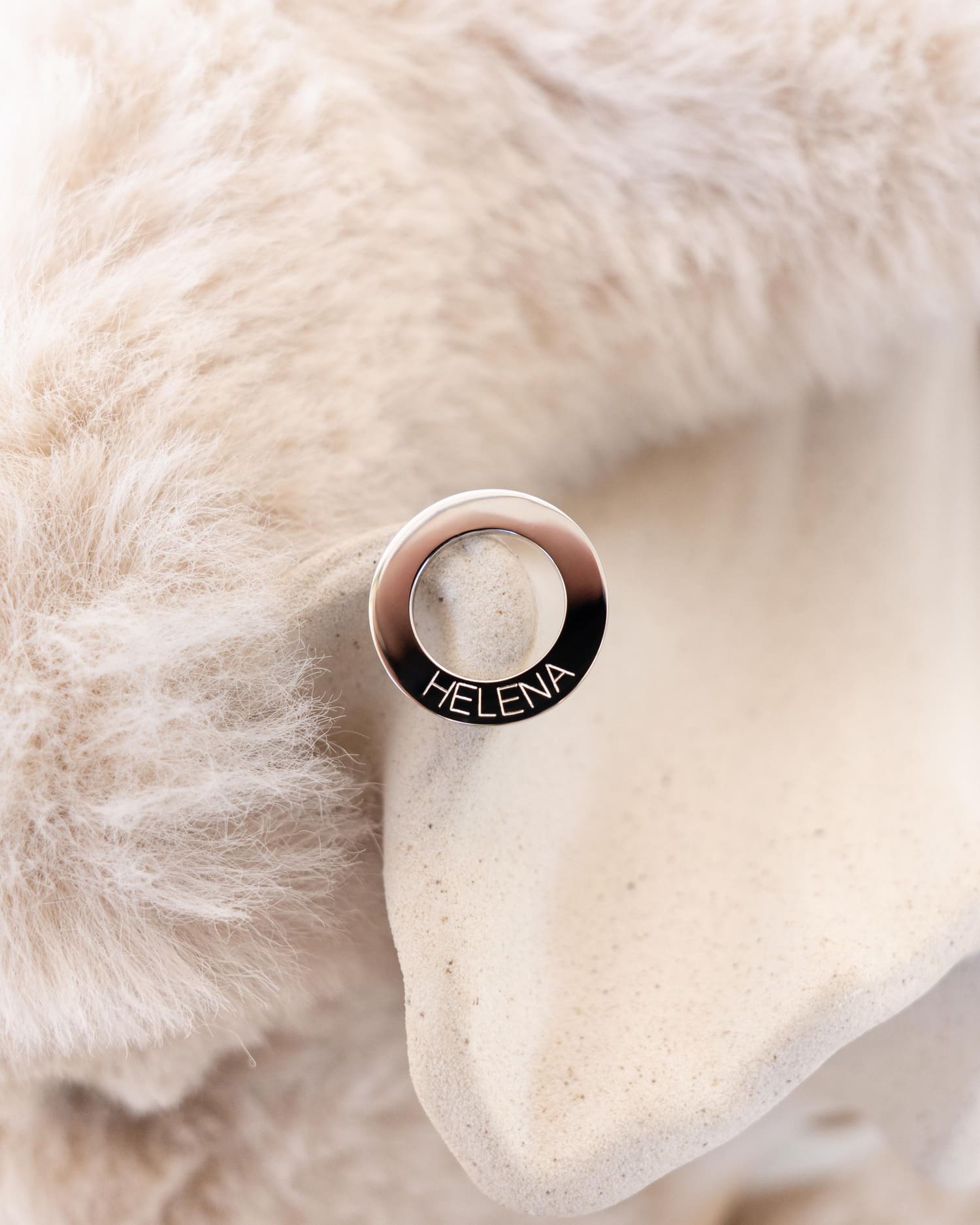 Ring Halskette Gravurplatte Anhänger