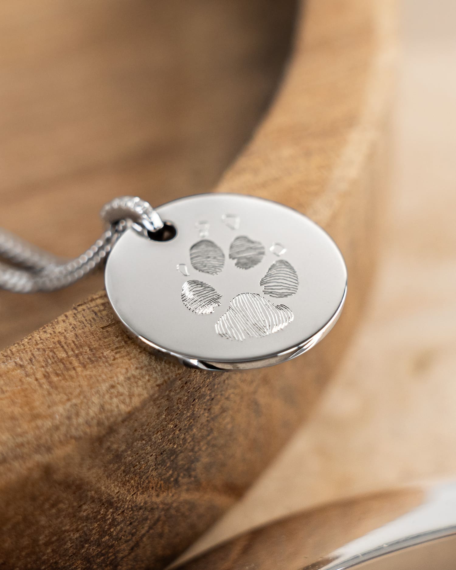 Paw print engraving plate necklace pendant cubic zirconia round