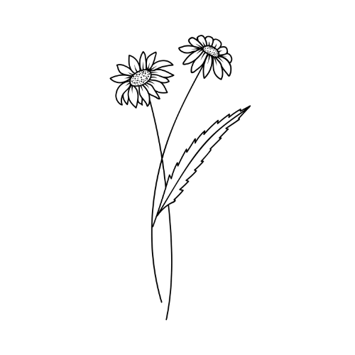 Geburtsblumen