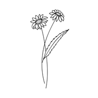 Damen Geburtsblumen Halsketten