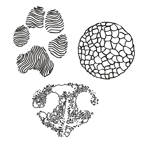 Engraved necklaces for men - paw print/nose print - 925 silver 18k gold-plated