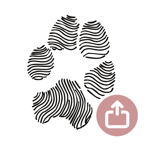 Paw print