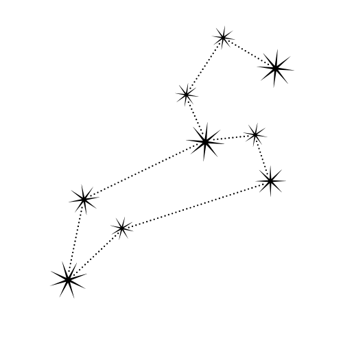 5. lion